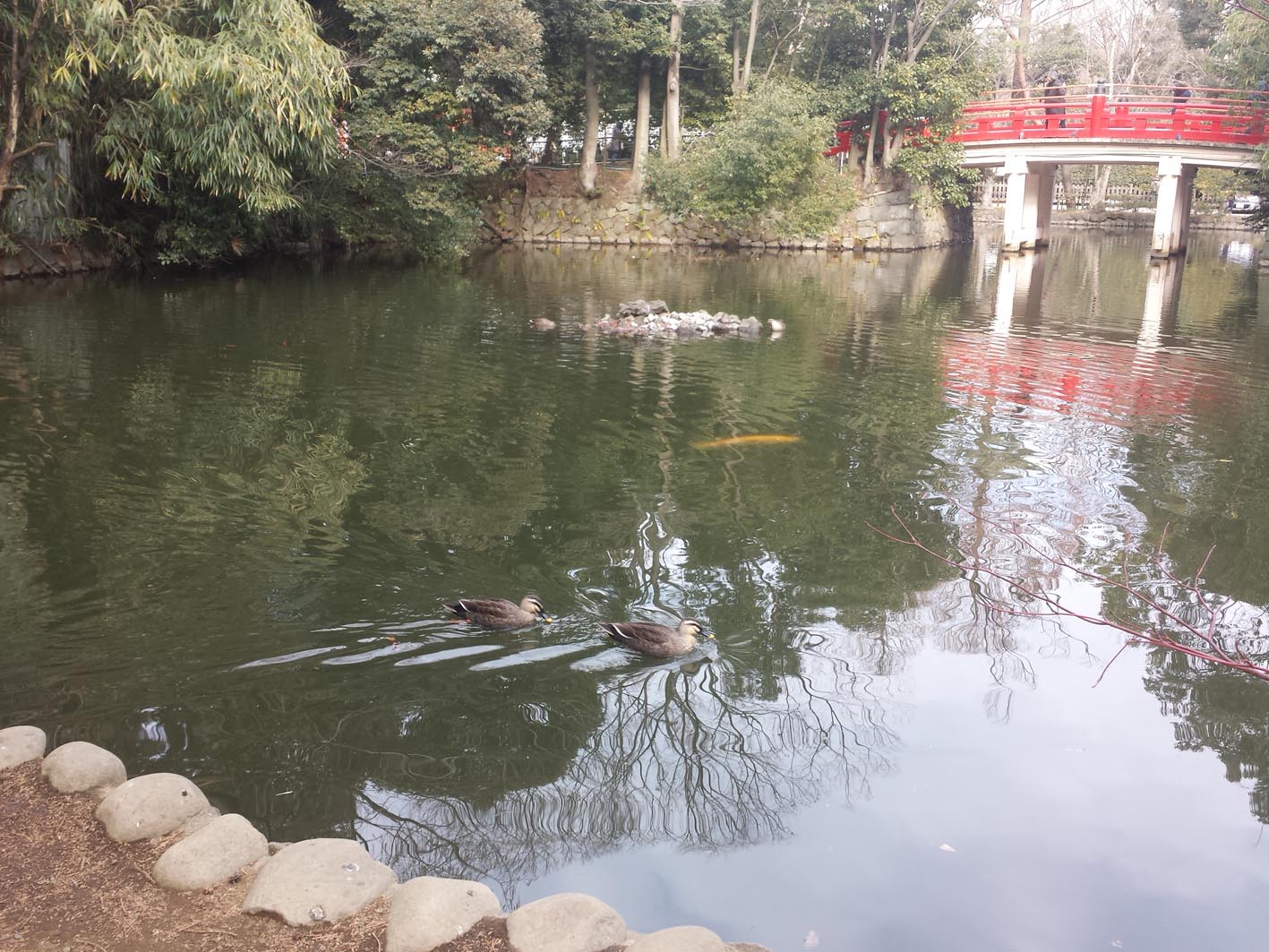 氷川神社の境内