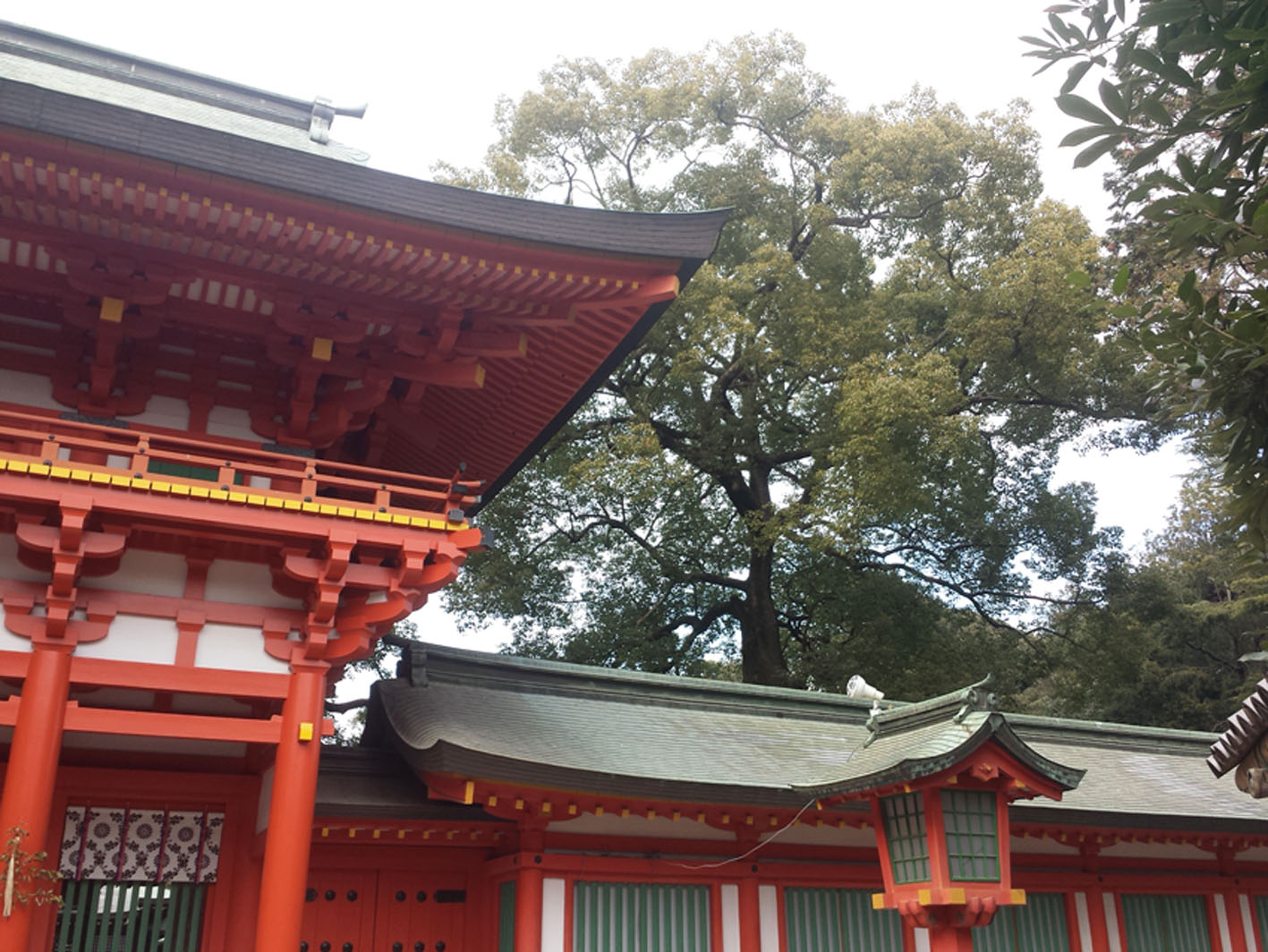 大宮　氷川神社