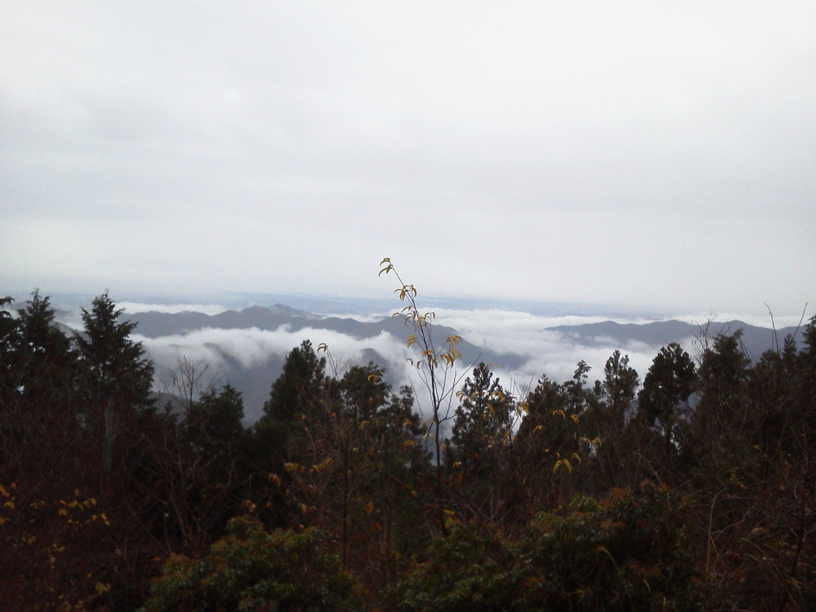 奥多摩の山々