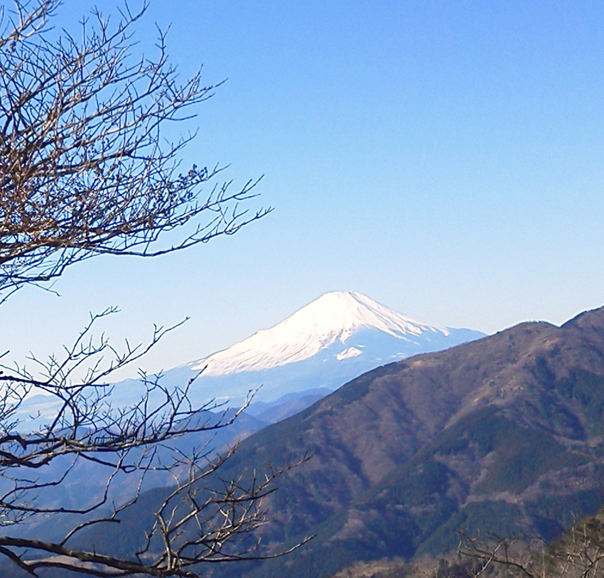 大山から富士を望む